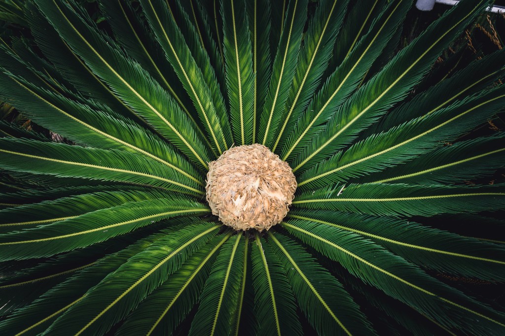 Embrace the beauty of imperfection and celebrate progress over perfection.